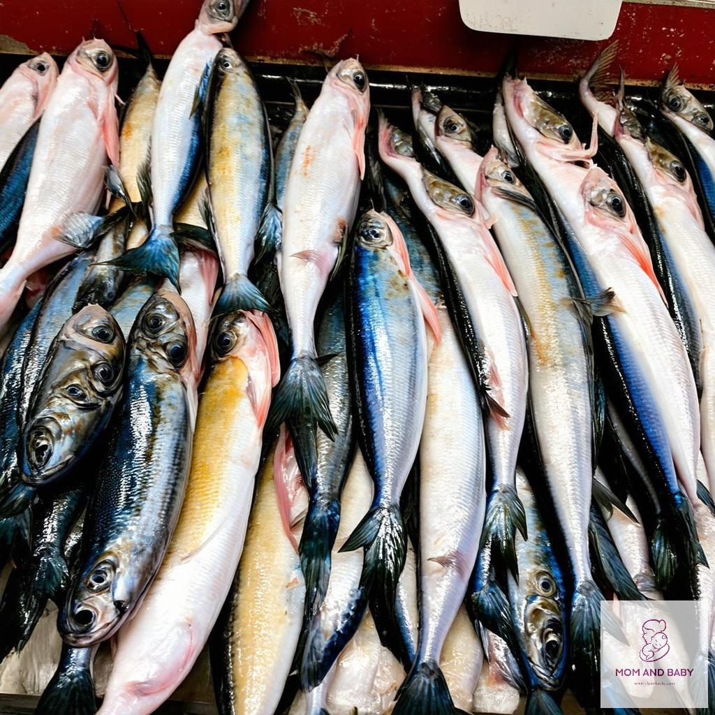 lươn tươi sống
